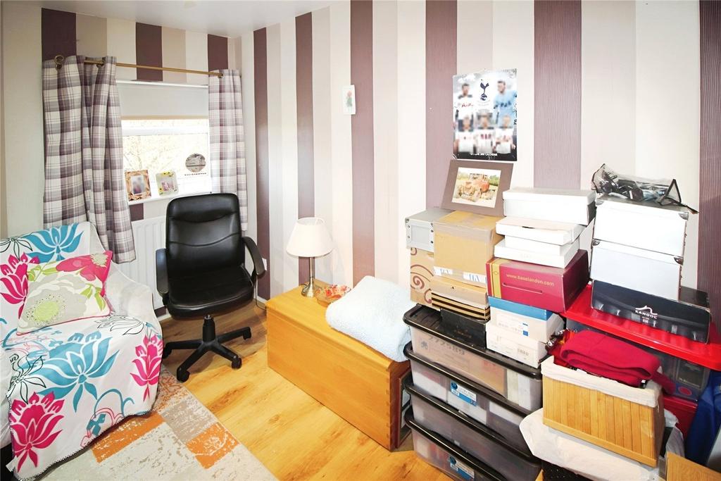 Study Area/ Bed 3