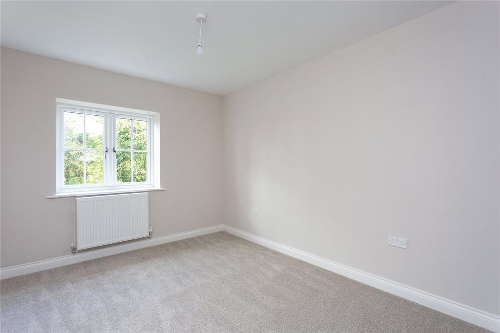 Photos