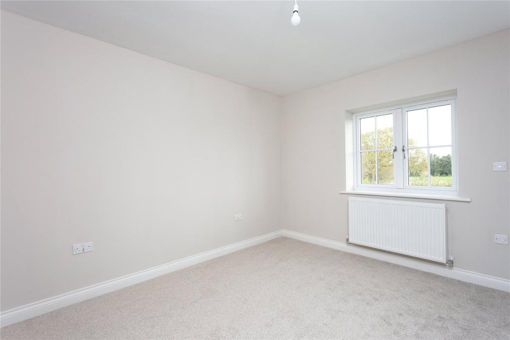 Photos