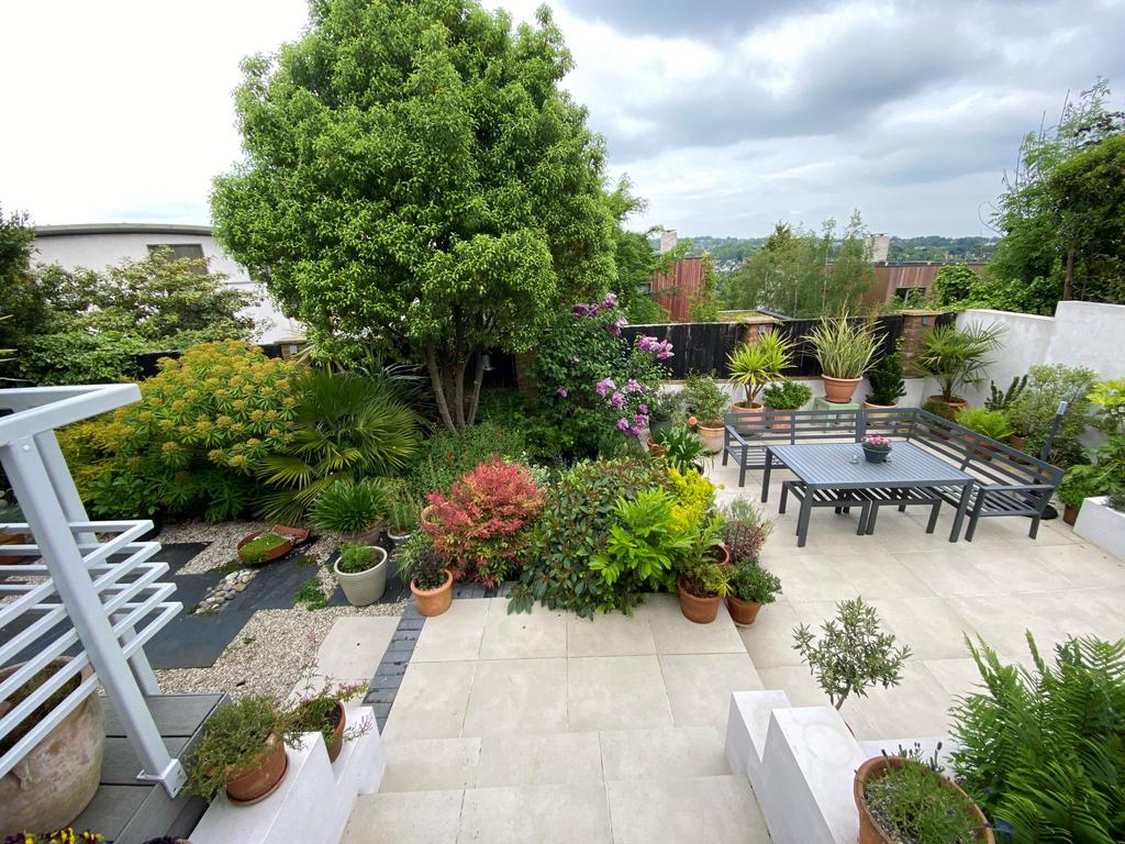 Summergardendaytime