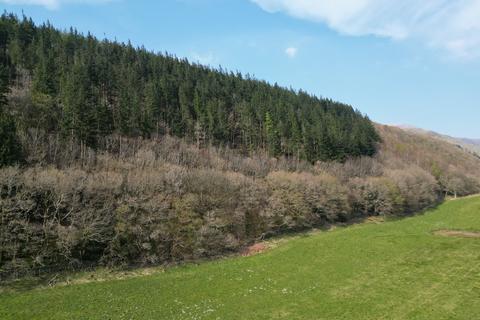 undefined, Coed Dysynni