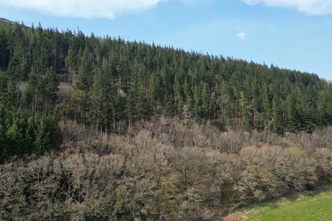undefined, Coed Dysynni
