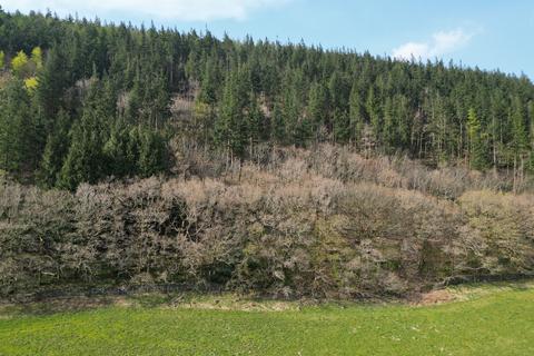undefined, Coed Dysynni
