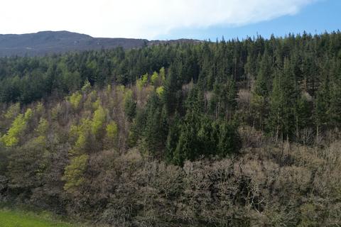 undefined, Coed Dysynni
