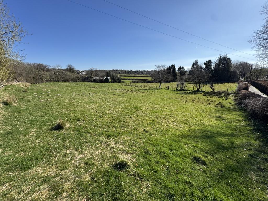 The land