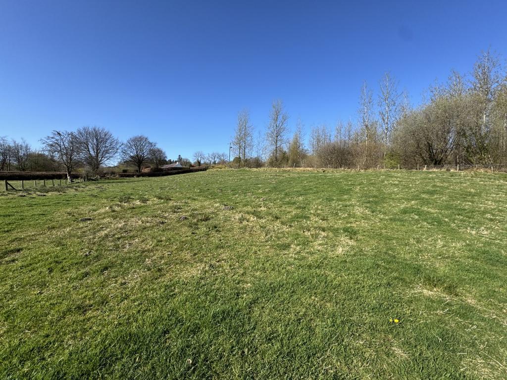 The land