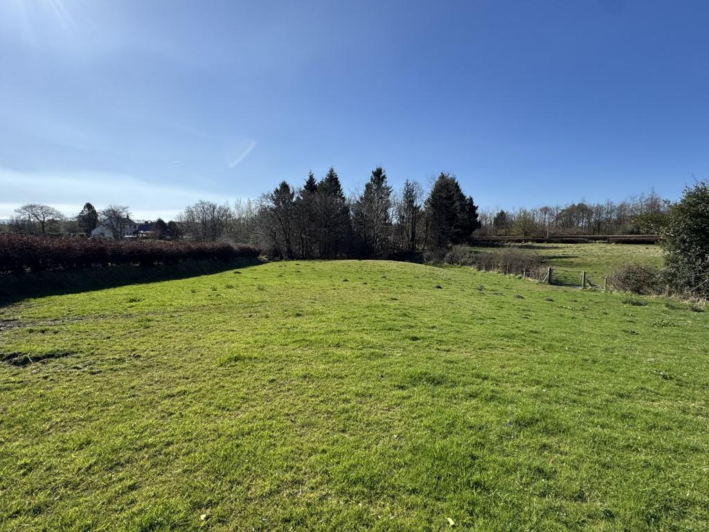 The land