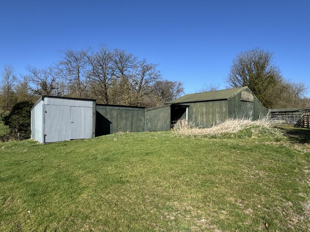 Cow Shed