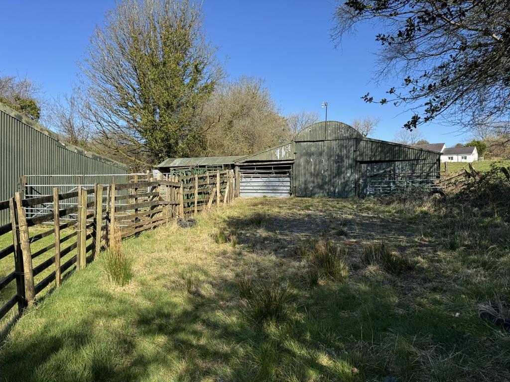 Cow Shed