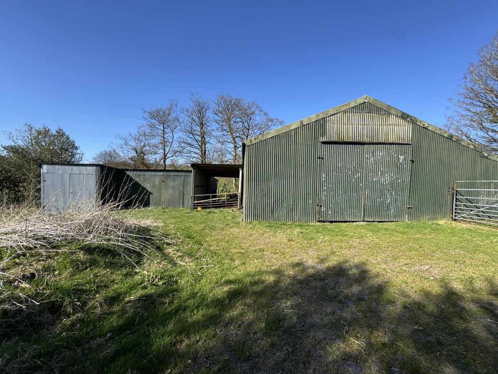 Cow Shed