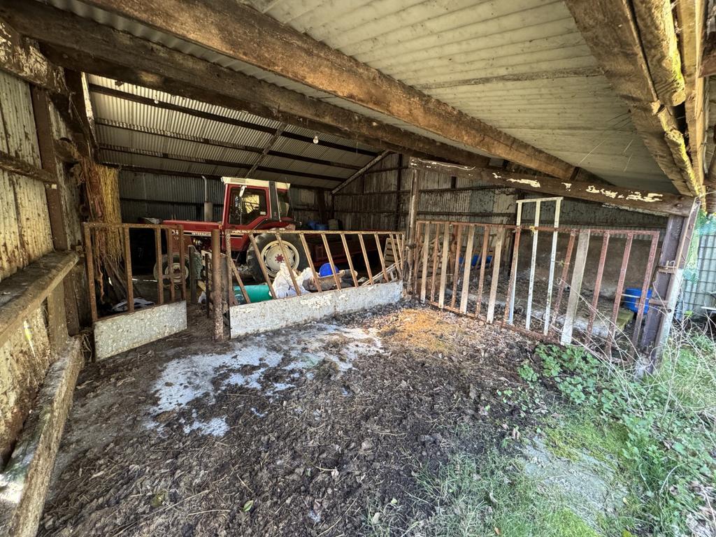 Cow Shed