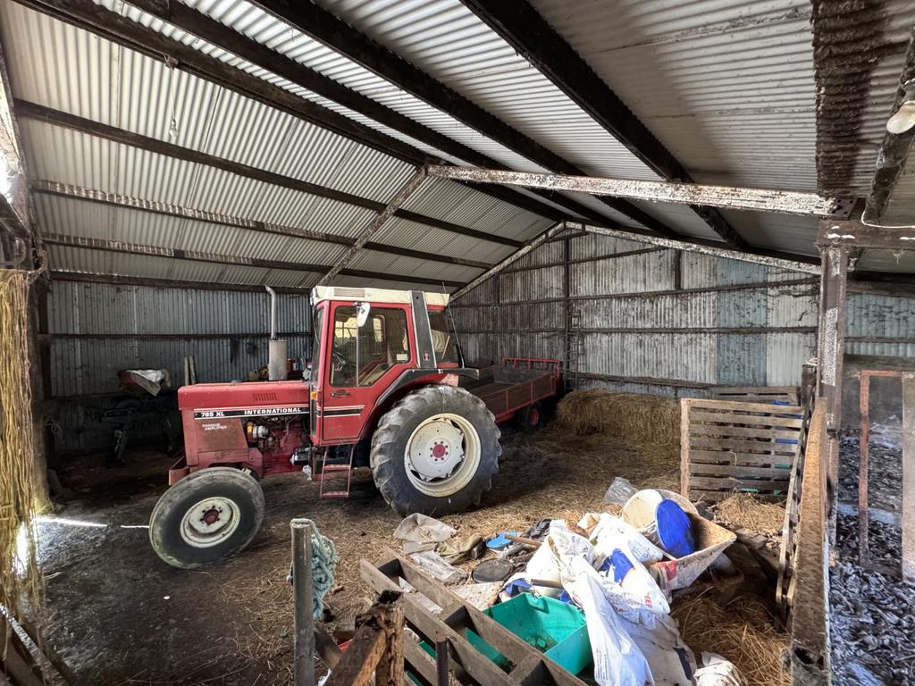 Cow Shed