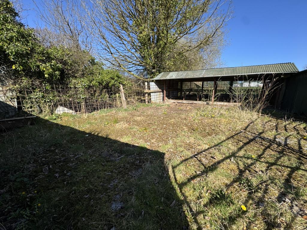 Cow Shed