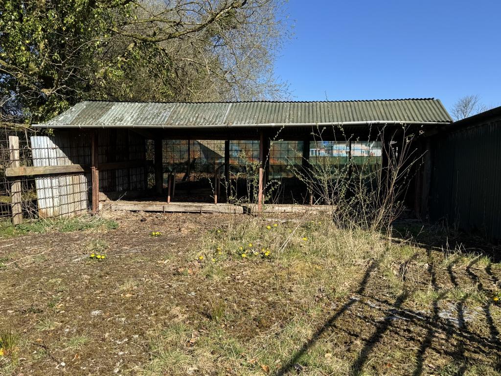 Cow Shed