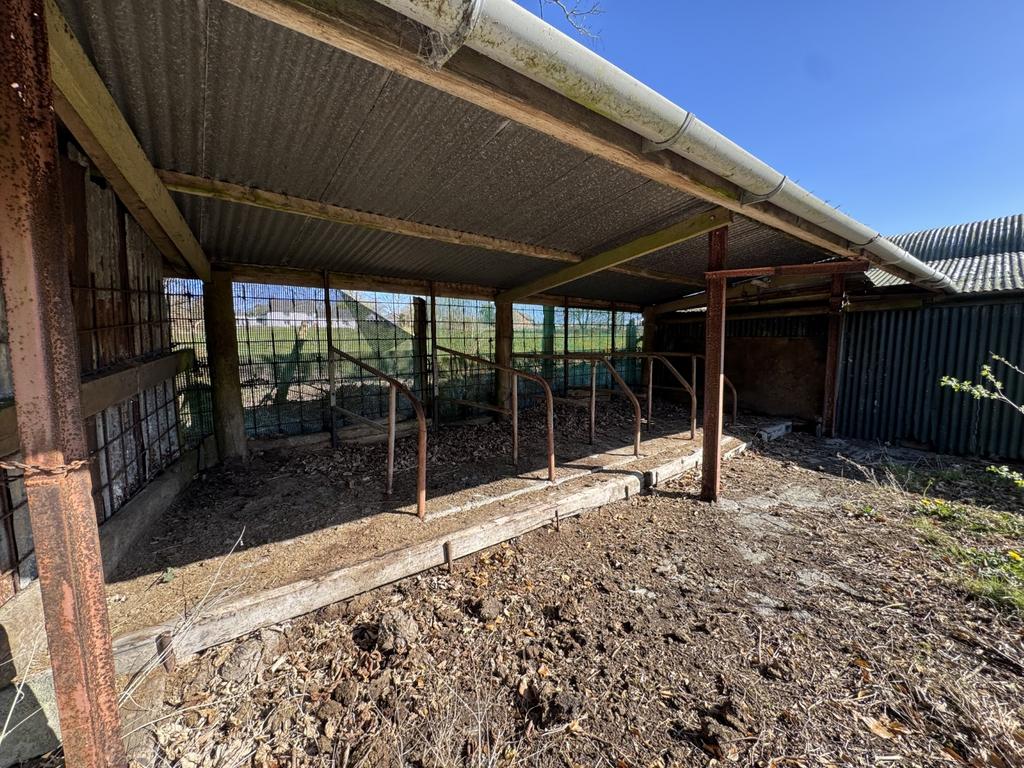 Cow Shed