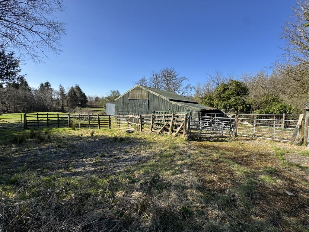 Cow Shed