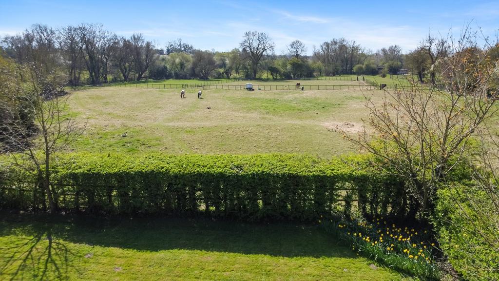 View of Field
