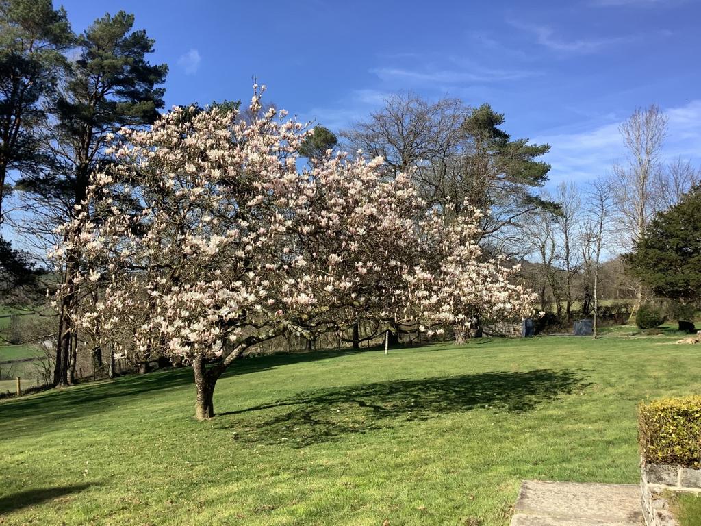 The Garden and Grounds