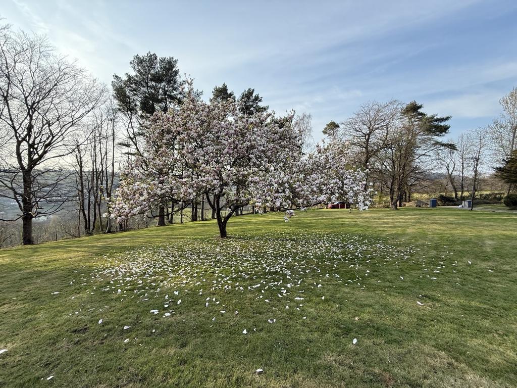 The Garden and Grounds