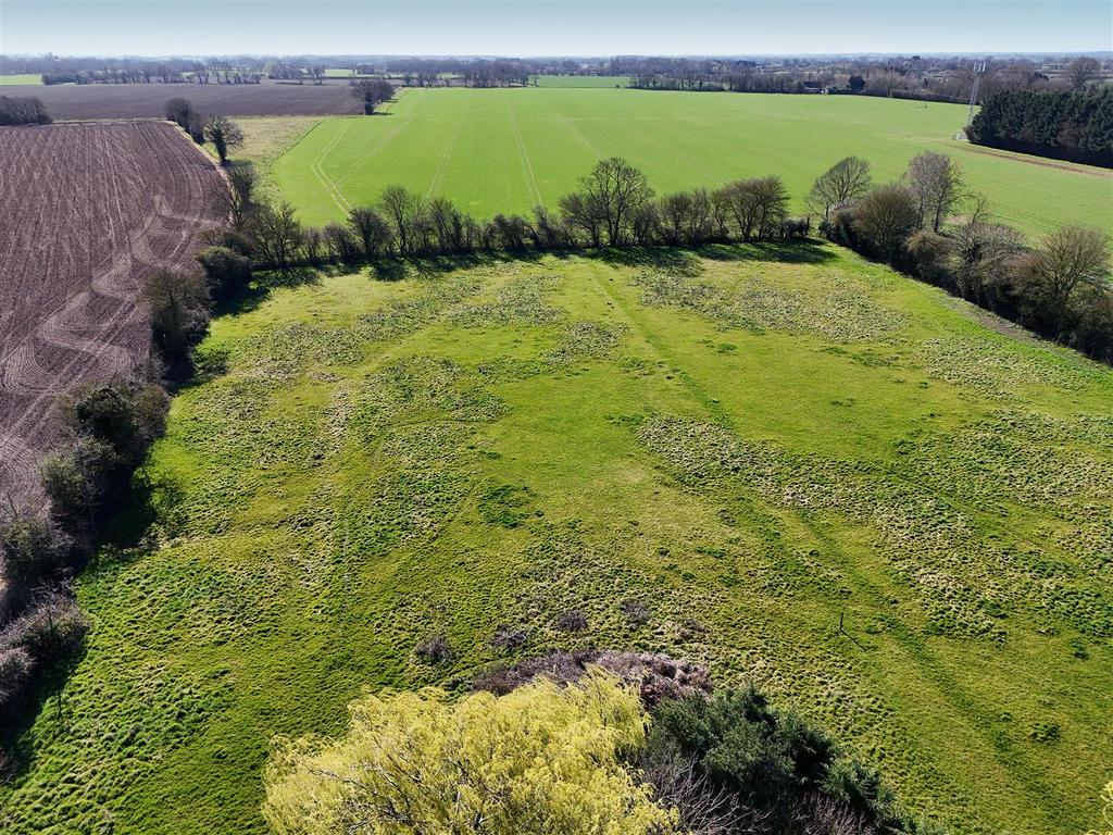 DJI 20250401102502 0048 D.jpg