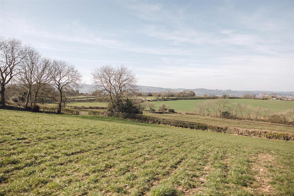 Fields &amp; Paddocks