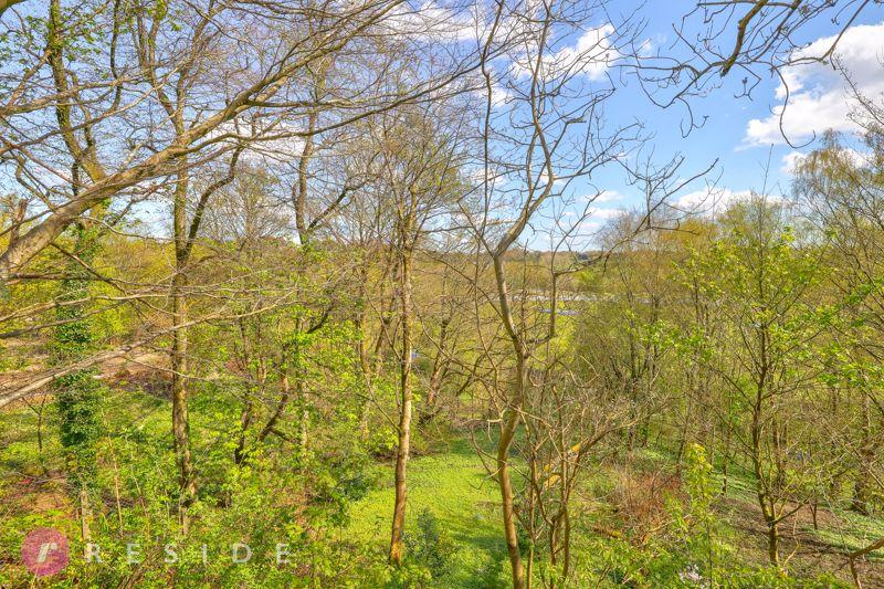 Woodland Views