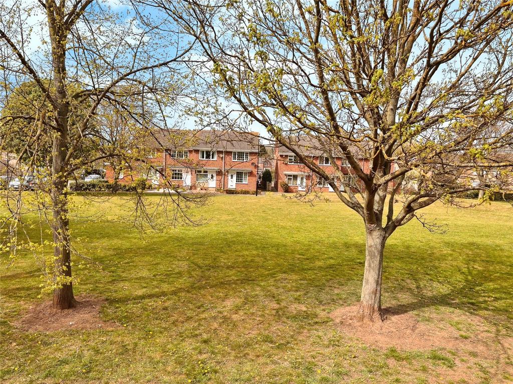 Open Field To Front