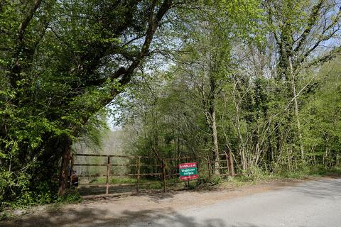 Woodland for sale, Kent Lane, Robertsbridge TN32