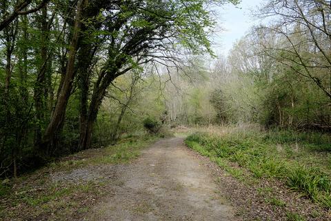 Woodland for sale, Kent Lane, Robertsbridge TN32