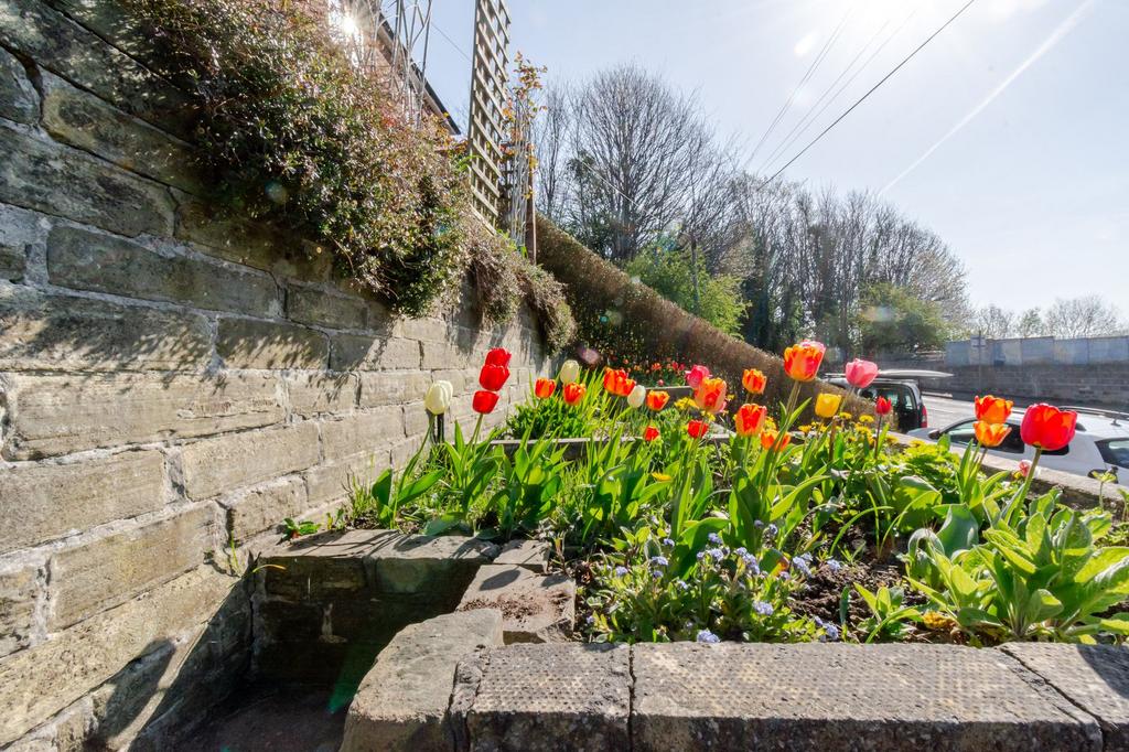 Front gdn 2