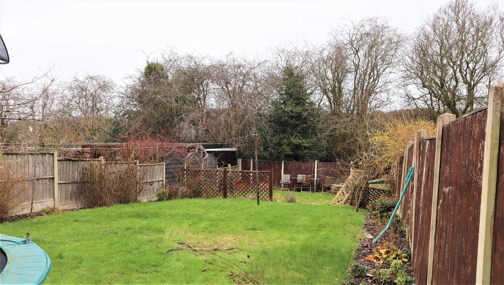 Garden .jpg