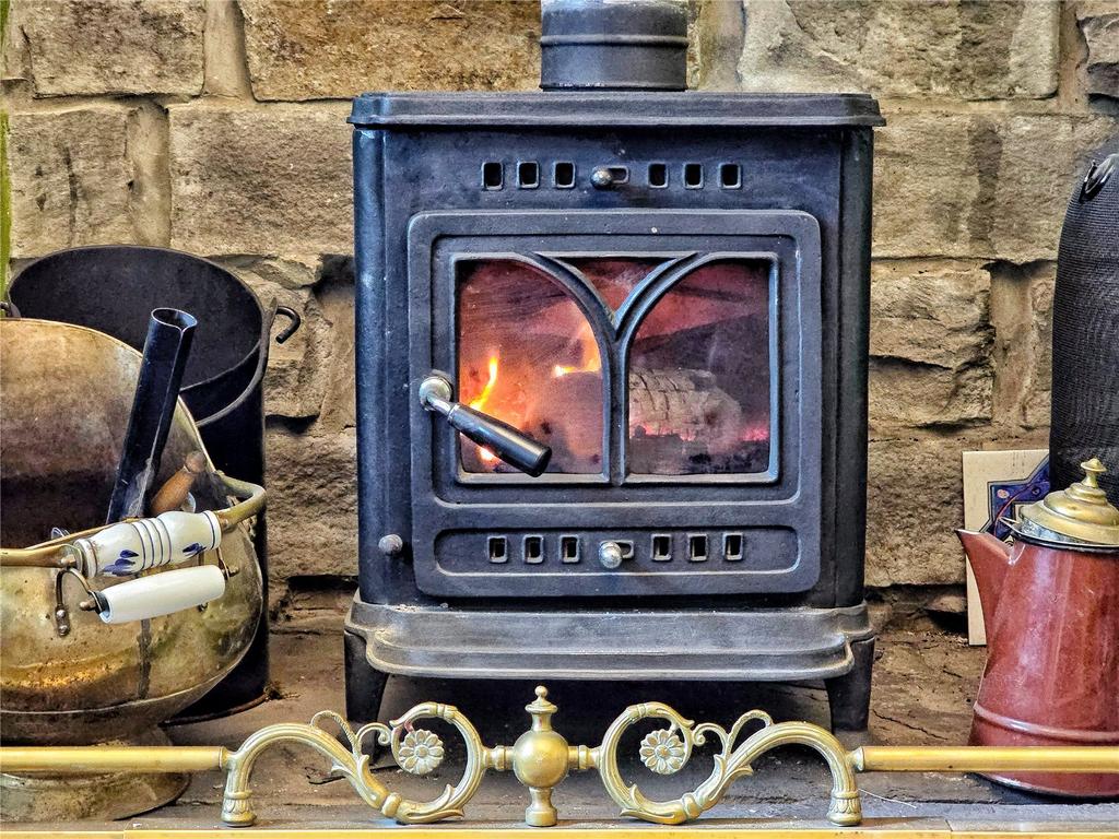 Multi-Fuel Stove