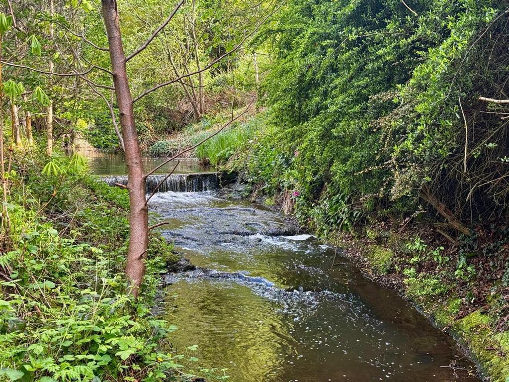 River.jpg