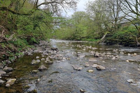 Woodland for sale, Ystradgynlais SA9