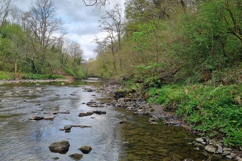 Woodland for sale, Ystradgynlais SA9