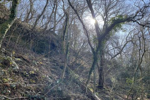 Woodland for sale, Ystradgynlais SA9