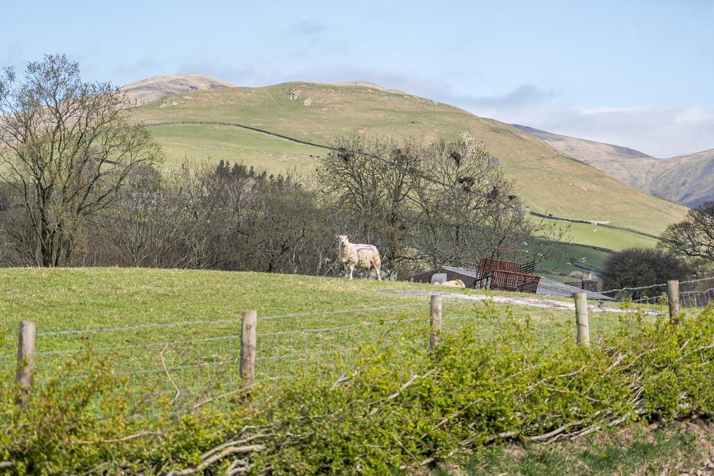 Delightful Countryside Views