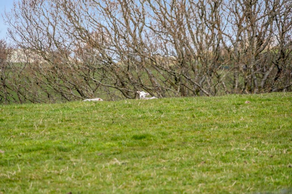 Delightful Countryside Views