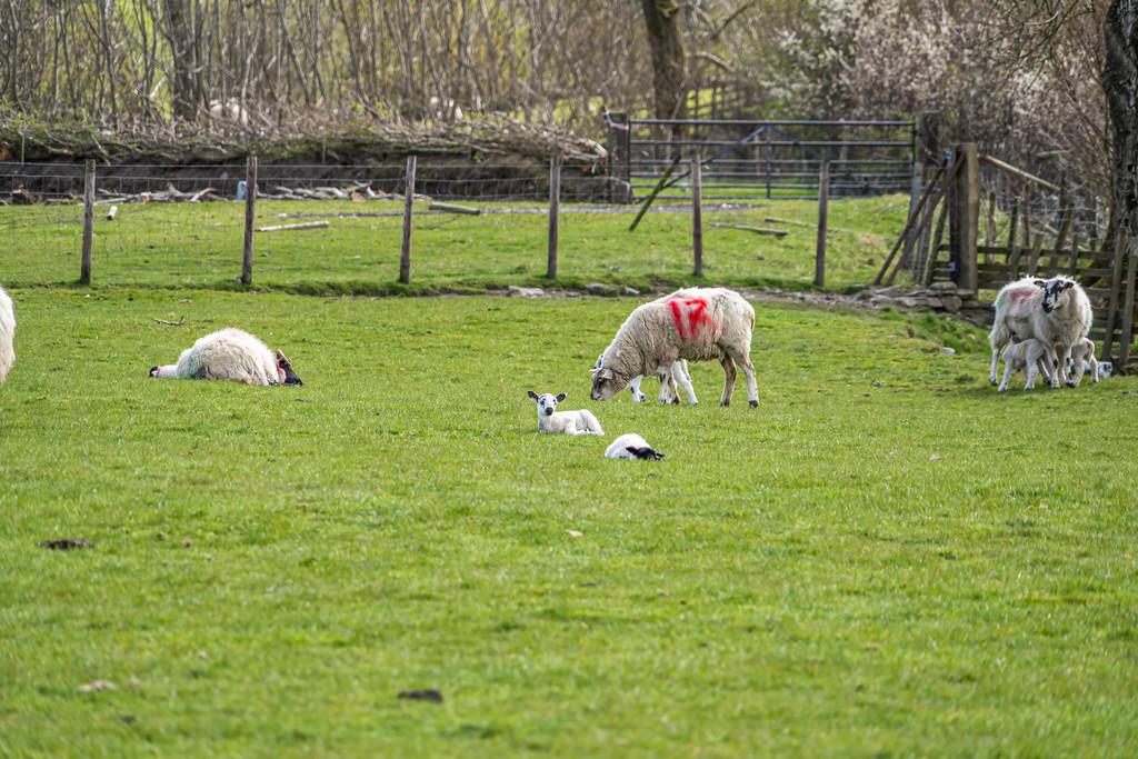 Delightful Countryside Views