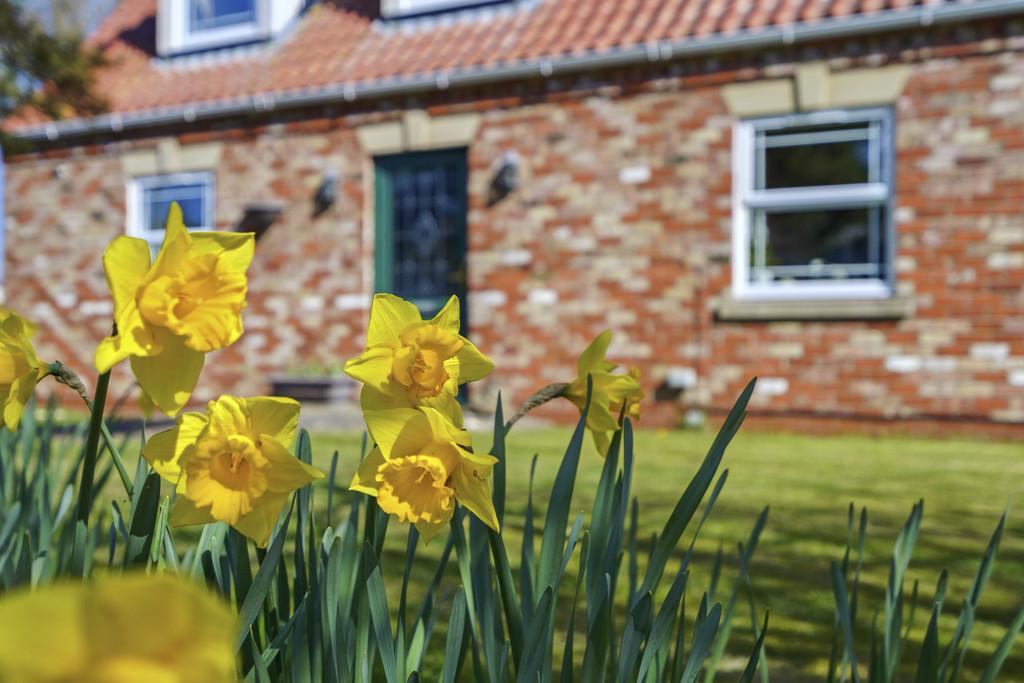 89038 The Orchards Wragholme Road Grainthorpe(4)