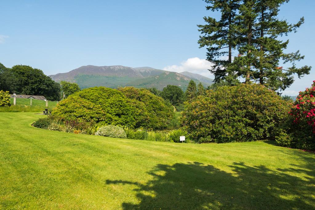 Communal Grounds
