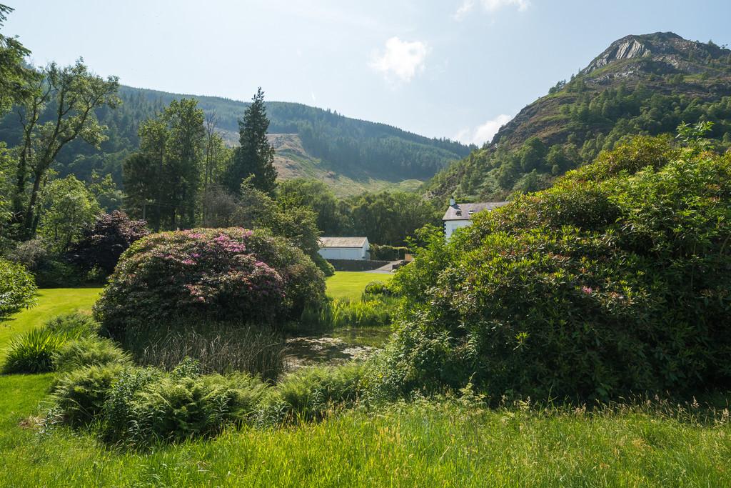 Communal Grounds