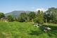 Additional image 34 of 9 Swan House, Thornthwaite, Keswick, Cumbria, CA12 5SQ
