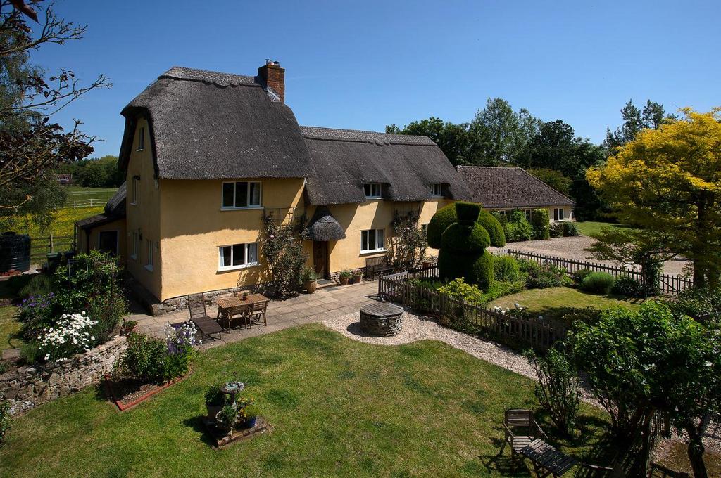MAIN LAWN &amp; HOUSE BEYOND.JPG
