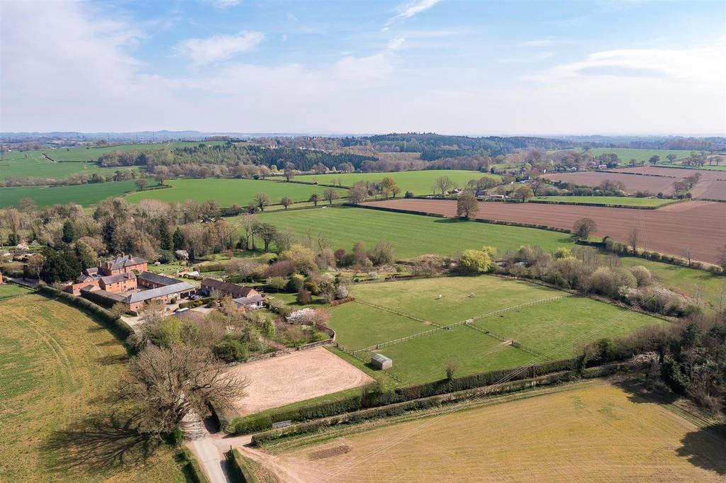 DJI 0386.jpg