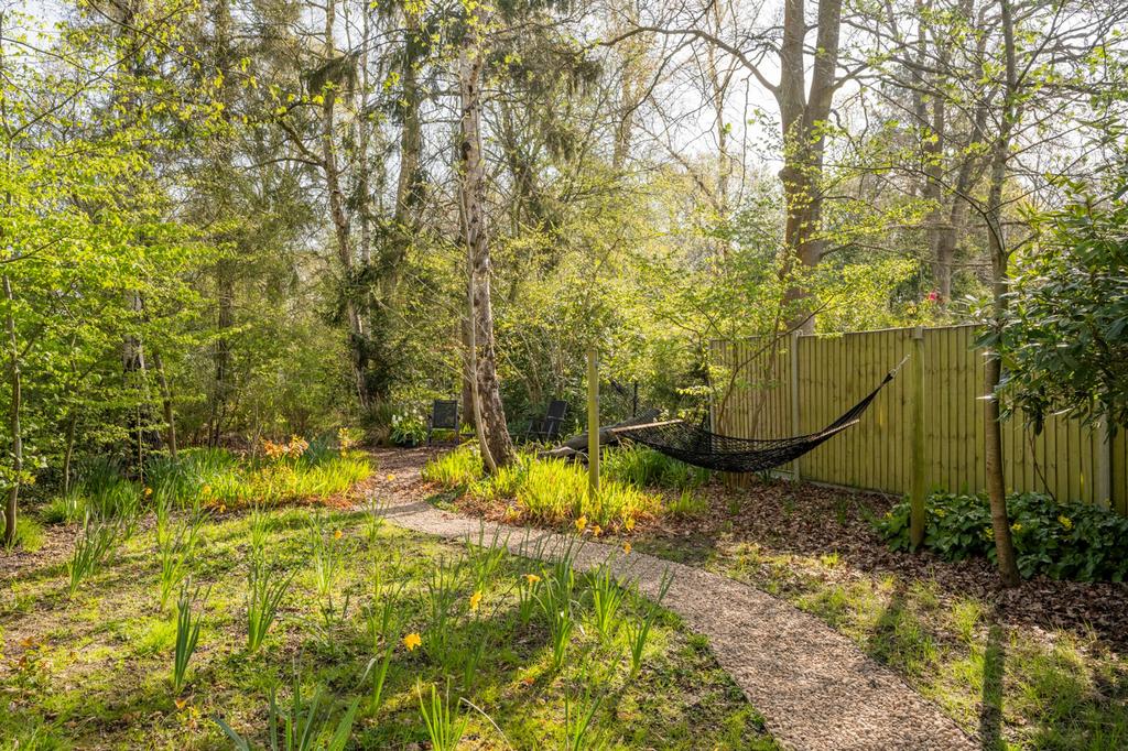 Pathway and Hammock