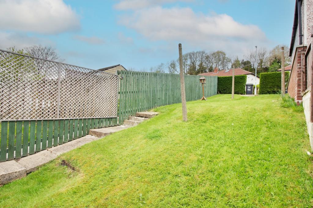 Back Garden