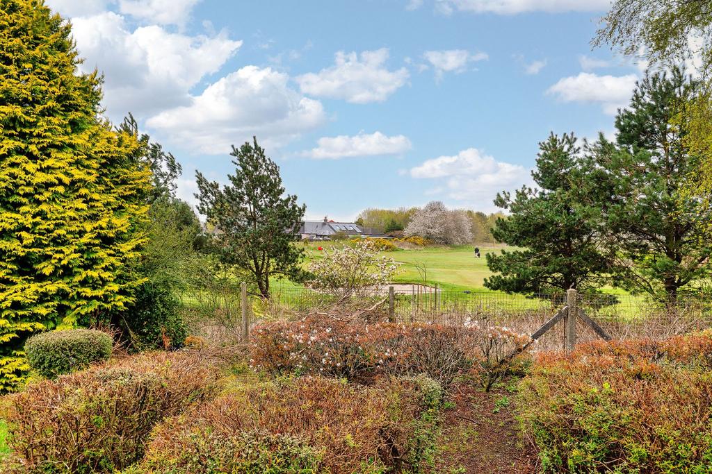 Area View