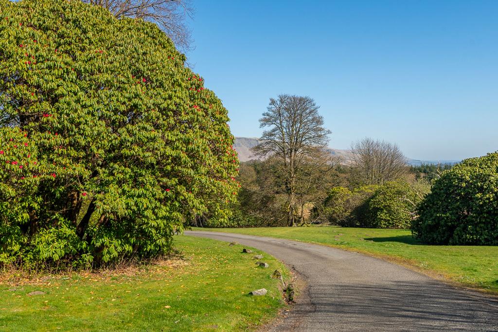 Shared driveway