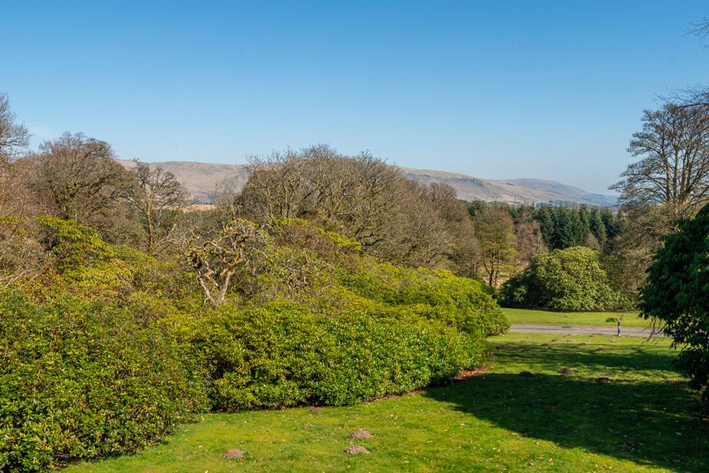 Shared garden